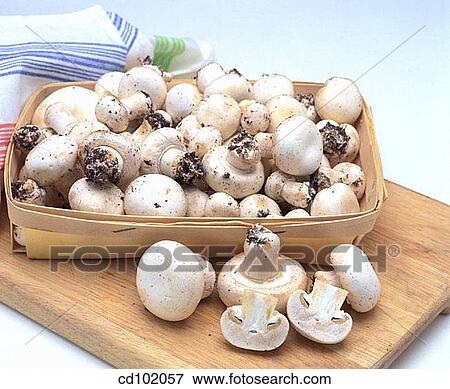 Mushrooms View Large Photo Image Stock Photo - Mushrooms. Fotosearch