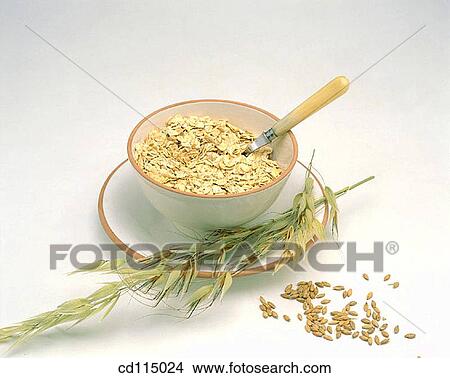 Oat View Large Photo Image Picture - Oat. Fotosearch