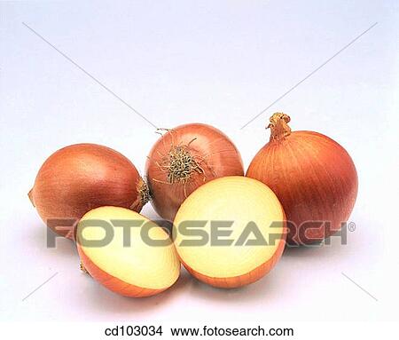 Onions View Large Photo Image Picture - Onions. Fotosearch