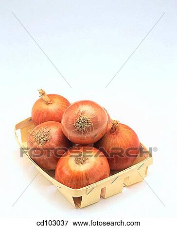 Onions View Large Photo Image Stock Photo - Onions. Fotosearch