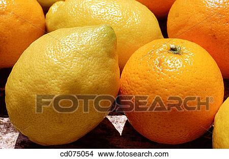 Oranges and lemons View Large Photo Image Picture - Oranges and lemons. Fotosearch