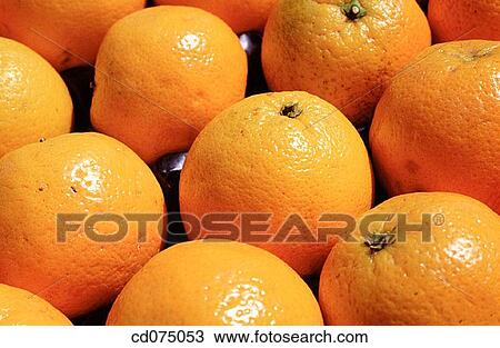 Oranges View Large Photo Image Stock Image - Oranges. Fotosearch