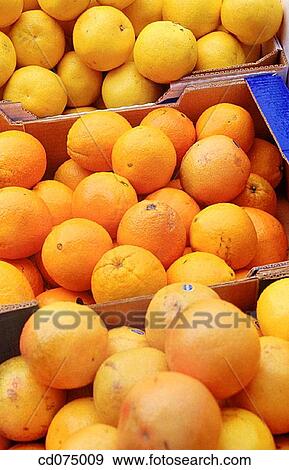 Oranges View Large Photo Image Stock Photo - Oranges. Fotosearch