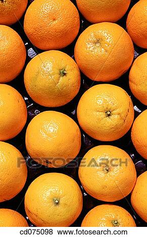 Oranges View Large Photo Image Stock Photo - Oranges. Fotosearch