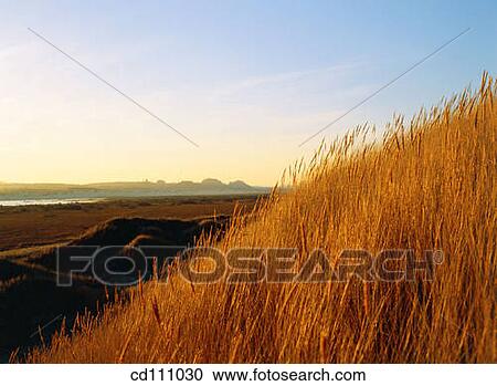 Oregon coast. USA View Large Photo Image Stock Image - Oregon coast. USA. Fotosearch