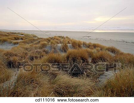 Oregon coast. USA View Large Photo Image Stock Photograph - Oregon coast. USA. Fotosearch