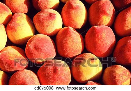 Peaches View Large Photo Image Stock Photo - Peaches. Fotosearch