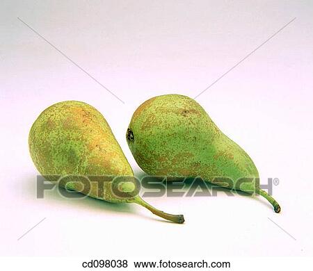 Pears View Large Photo Image Stock Photo - Pears. Fotosearch
