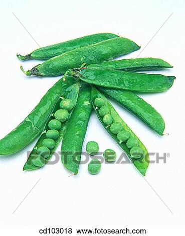 Peas View Large Photo Image Stock Photo - Peas. Fotosearch
