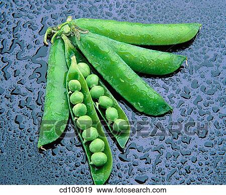 Peas View Large Photo Image Stock Photo - Peas. Fotosearch