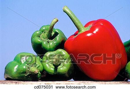 Peppers View Large Photo Image Stock Image - Peppers. Fotosearch