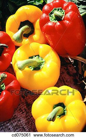 Peppers View Large Photo Image Stock Image - Peppers. Fotosearch
