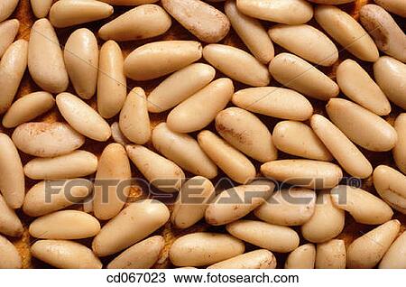 Pine nuts View Large Photo Image Stock Image - Pine nuts. Fotosearch
