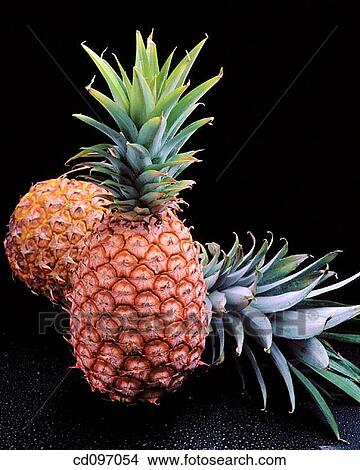 Pineapples View Large Photo Image Picture - Pineapples. Fotosearch