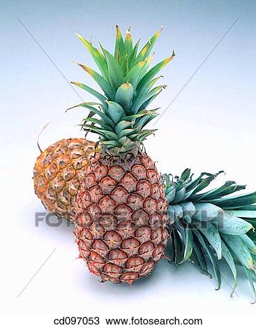 Stock Image - Pineapples. Fotosearch