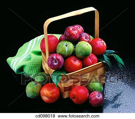 Plum View Large Photo Image Stock Photo - Plum. Fotosearch