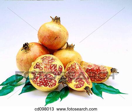 Stock Image - Pomegranates. Fotosearch