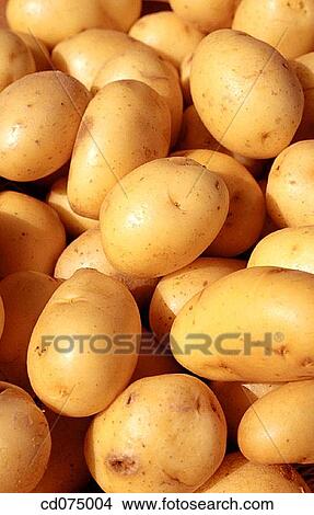 Potatoes View Large Photo Image Picture - Potatoes. Fotosearch