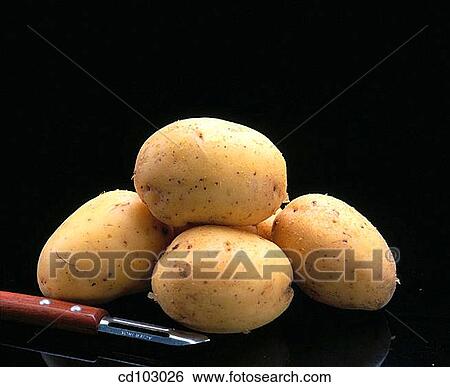 Potatoes View Large Photo Image Stock Photograph - Potatoes. Fotosearch