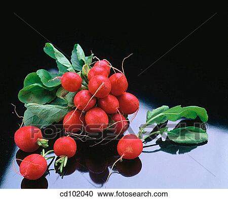 Radishes View Large Photo Image Stock Image - Radishes. Fotosearch