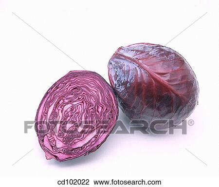 Red cabbage View Large Photo Image Stock Image - Red cabbage. Fotosearch
