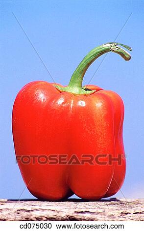 Red pepper View Large Photo Image Stock Image - Red pepper. Fotosearch
