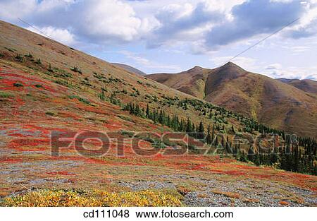 Richardson Mountains. Yukon. Canada View Large Photo Image Stock Photo - Richardson Mountains. Yukon. Canada. Fotosearch