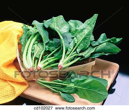 Stock Photo - Spinach. Fotosearch