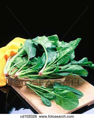 Spinach View Large Photo Image Stock Photo - Spinach. Fotosearch