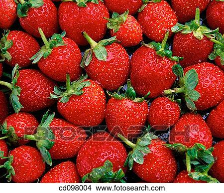 Strawberries View Large Photo Image Picture - Strawberries. Fotosearch