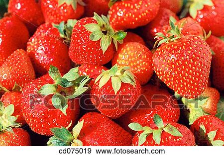 Strawberries View Large Photo Image Stock Photo - Strawberries. Fotosearch