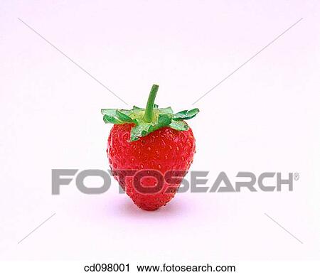 Strawberry View Large Photo Image Stock Image - Strawberry. Fotosearch