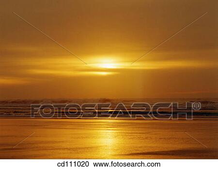 Sunset on beach. Oregon. USA View Large Photo Image Stock Image - Sunset on beach. Oregon. USA. Fotosearch