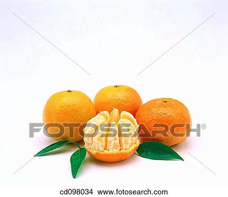 Tangerines View Large Photo Image Picture - Tangerines. Fotosearch