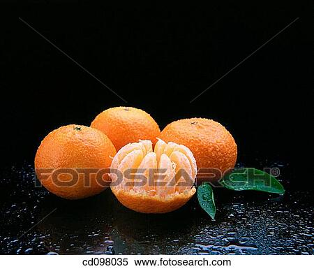 Tangerines View Large Photo Image Stock Photography - Tangerines. Fotosearch