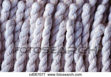 Tassels View Large Photo Image Stock Photo - Tassels. Fotosearch