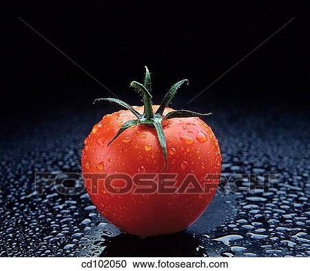 Tomato View Large Photo Image Stock Image - Tomato. Fotosearch