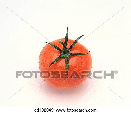 Tomato View Large Photo Image Stock Photo - Tomato. Fotosearch