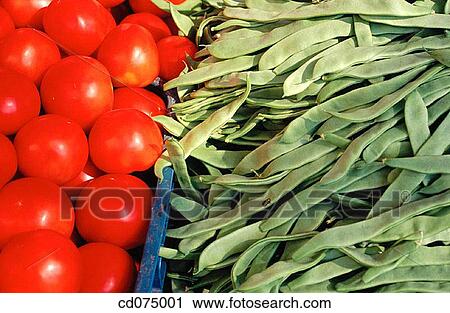 Tomatoes and beans View Large Photo Image Stock Image - Tomatoes and beans. Fotosearch