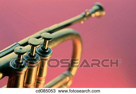 Trumpet View Large Photo Image Stock Image - Trumpet. Fotosearch
