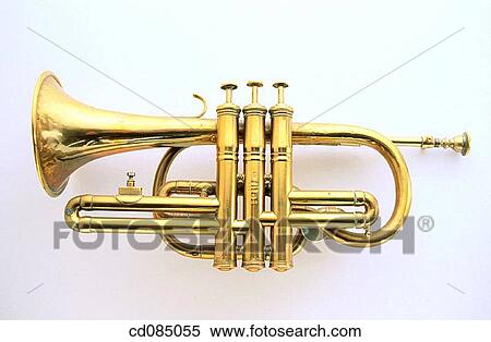 Trumpet View Large Photo Image Stock Photography - Trumpet. Fotosearch