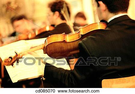 Violinist View Large Photo Image Stock Image - Violinist. Fotosearch