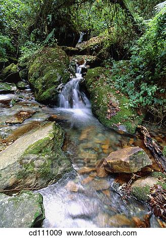 Waterfall. Annapurna circuit. Nepal View Large Photo Image Stock Photo - Waterfall. Annapurna circuit. Nepal. Fotosearch