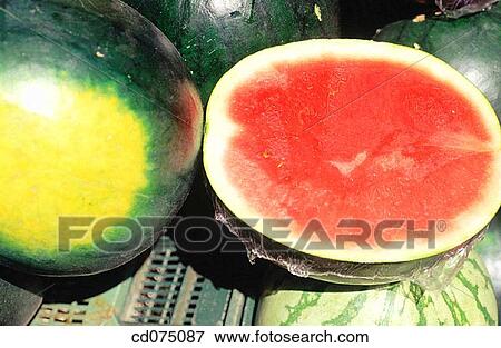 Watermelon View Large Photo Image Stock Photo - Watermelon. Fotosearch