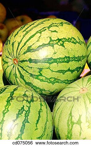 Watermelons View Large Photo Image Stock Photograph - Watermelons. Fotosearch