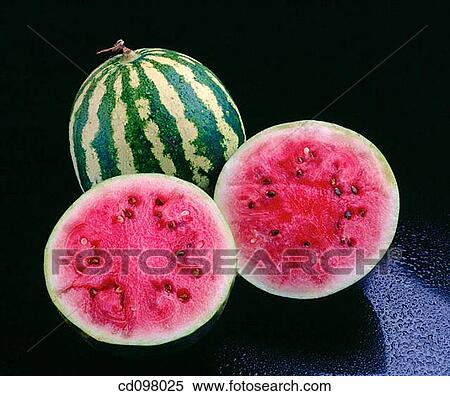 Watermelons View Large Photo Image Stock Photography - Watermelons. Fotosearch