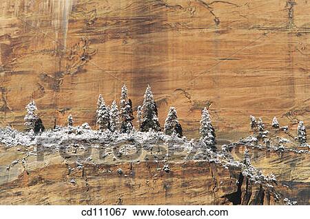 Zion National Park. Utah. USA View Large Photo Image Stock Photo - Zion National Park. Utah. USA. Fotosearch