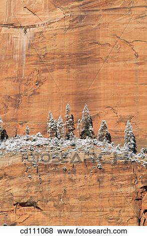 Zion National Park. Utah. USA View Large Photo Image Stock Photo - Zion National Park. Utah. USA. Fotosearch