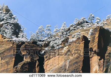 Zion National Park. Utah. USA View Large Photo Image Stock Photo - Zion National Park. Utah. USA. Fotosearch