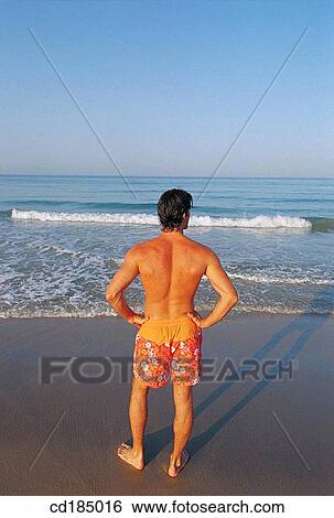 absent-mindedness, beach, back view, Absent-minded View Large Photo Image Stock Photograph - absent-mindedness, beach, back view, Absent-minded. Fotosearch